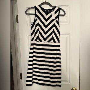 Loft Black and White Striped Sheath Dress